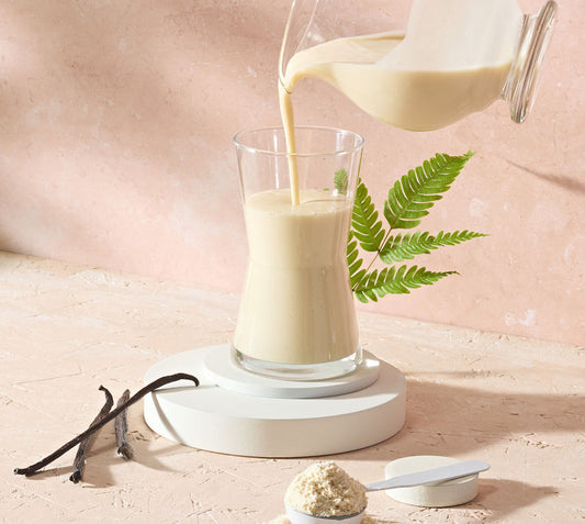Protein-Getränkemix Vegan Vanillegeschmack, 20 Portionen